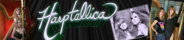 A Tribute to Metallica